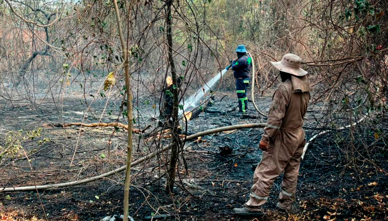 Incendio en el Curichi La Madre de la capital cruceña fue controlado