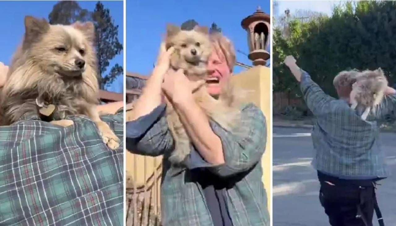 Video: El emotivo reencuentro de un hombre y su perro que desapareció en los incendios de Los Ángeles 