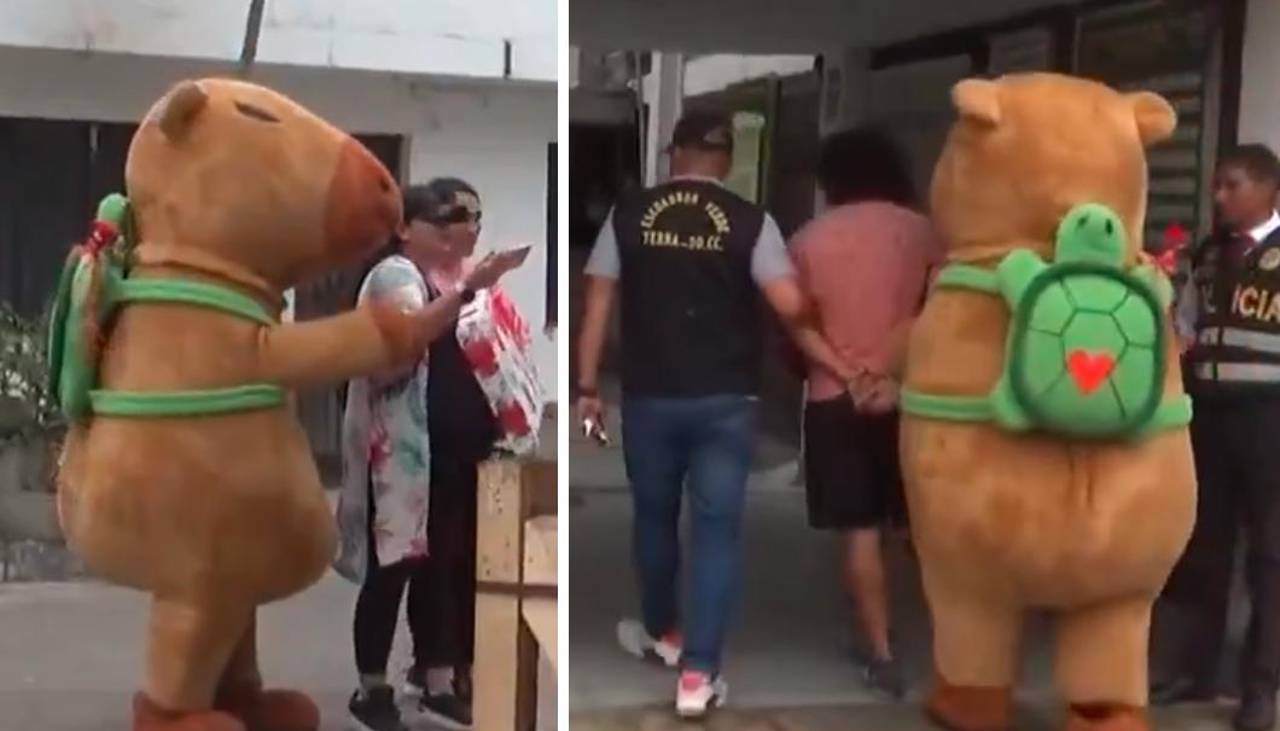 Video: ‘Capibara del amor’ capturó a un narco peruano con más de 1.700 sobres de cocaína 