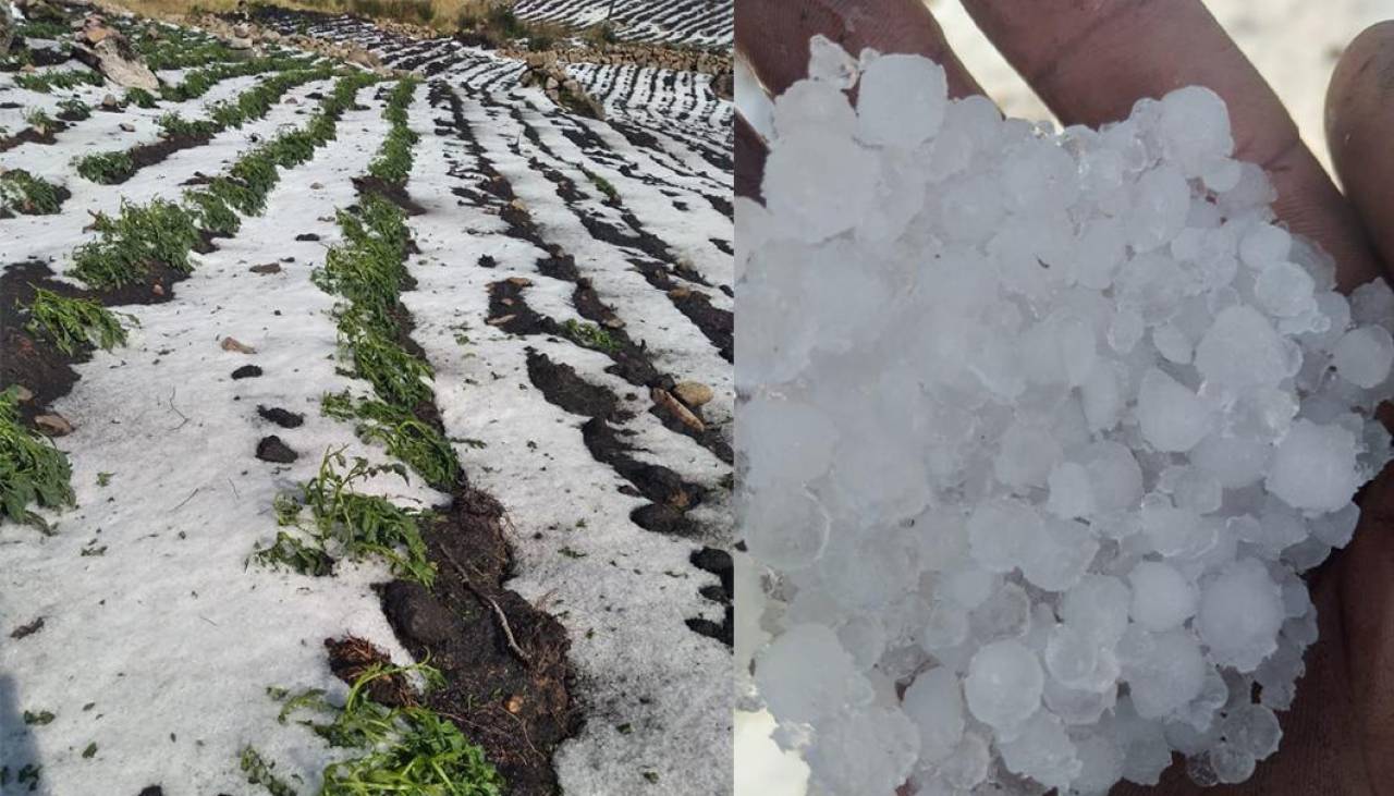 Intensa granizada afecta varias comunidades en Cochabamba y deja cultivos dañados