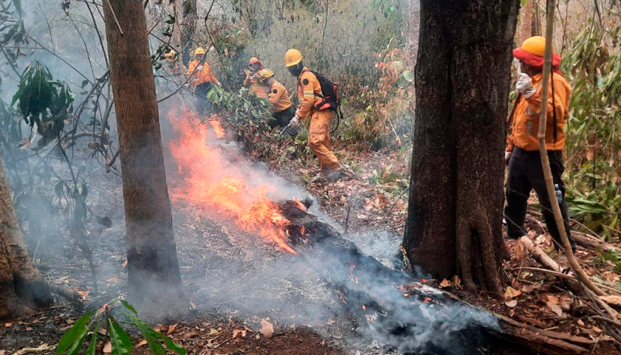 Bolivia registra 5.663 focos de calor; 72% están en el departamento de Santa Cruz 