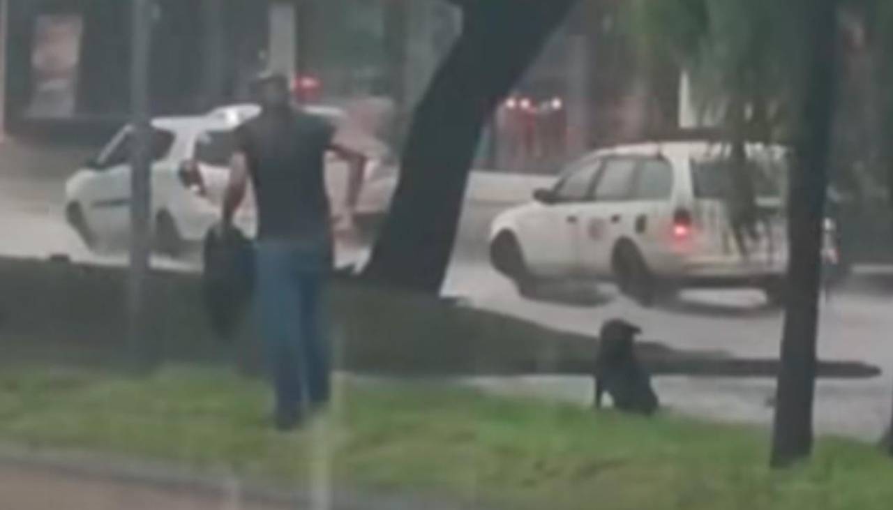 Video: En medio de la intensa lluvia un hombre rescata a un perro atrapado en un canal de drenaje