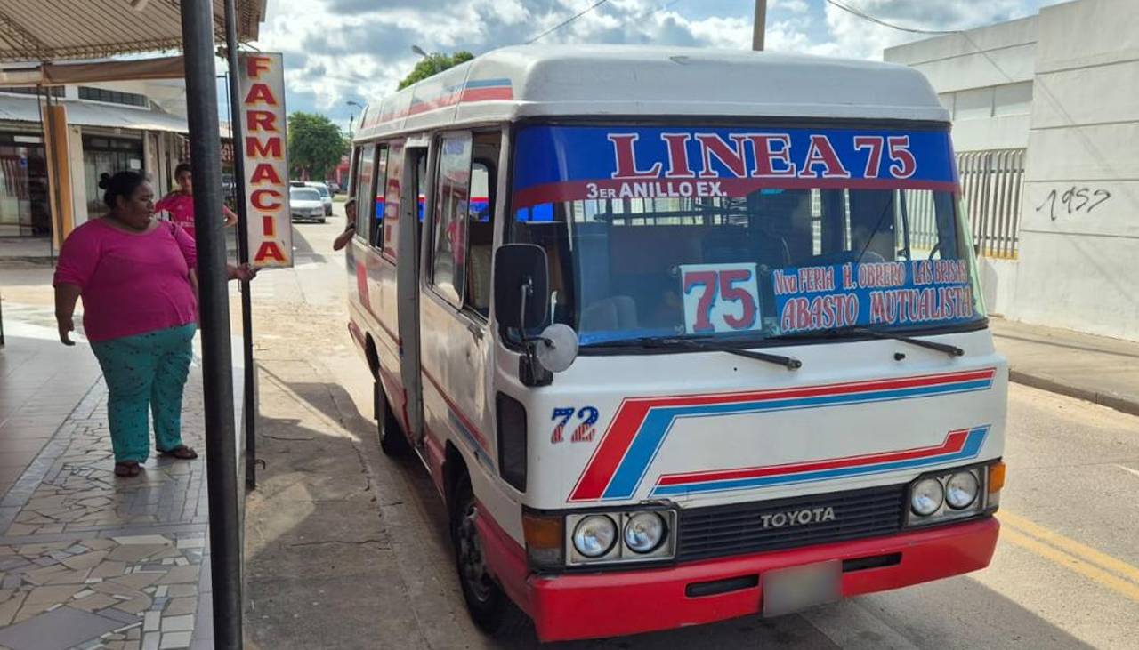 Una mujer dio a luz en un micro mientras buscaba atención en un hospital