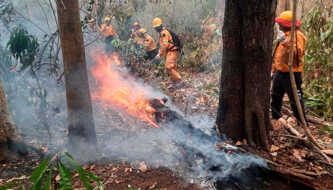 Bolivia registra 5.663 focos de calor; 72% están en el departamento de Santa Cruz 