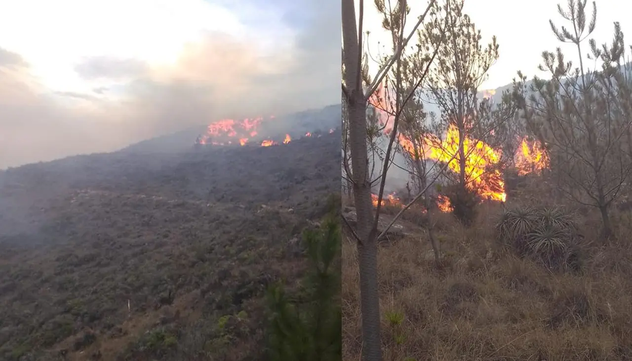 Incendio forestal en Mizque: presumen que se inició por un chaqueo en Pocona