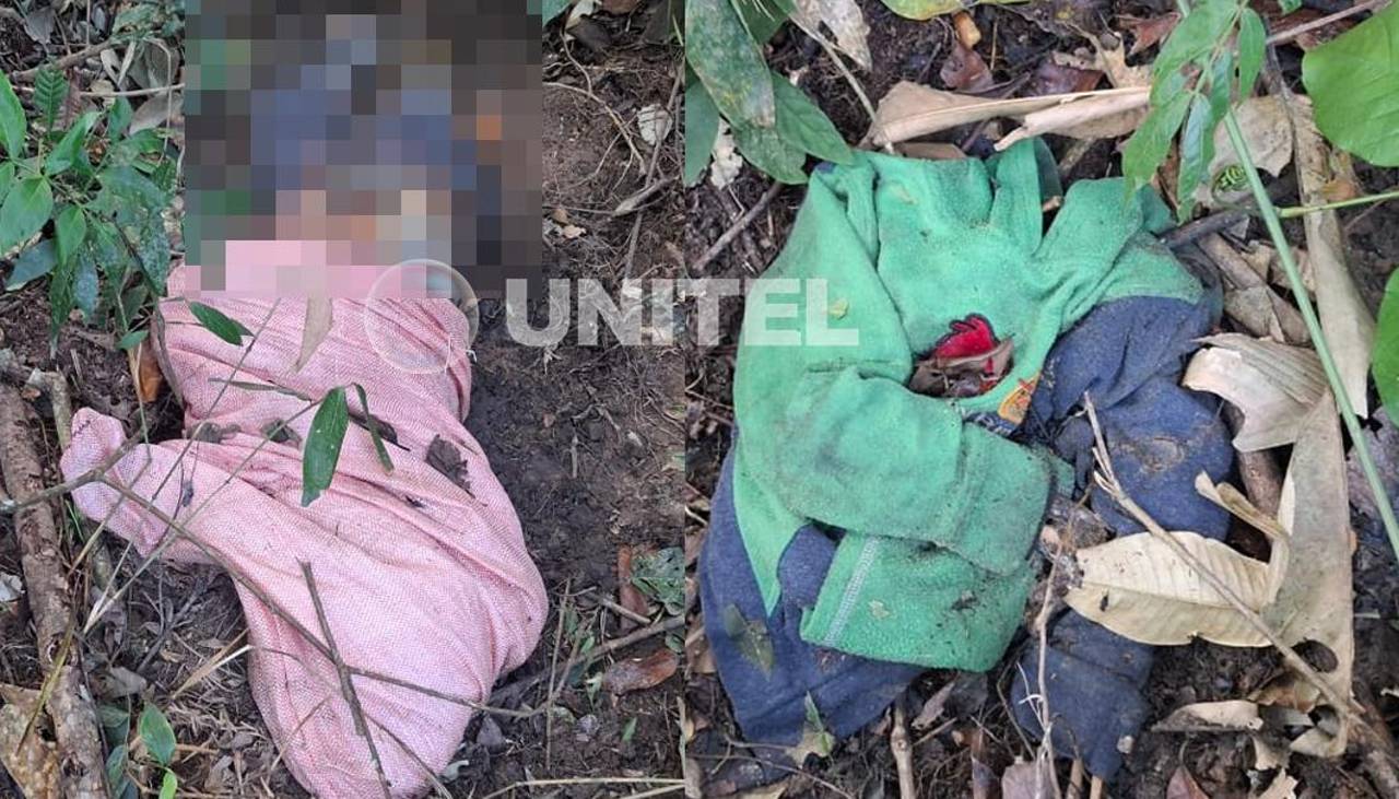 Cuerpos hallados en estado de descomposición en el trópico son de una familia que estaba reportada como desaparecida