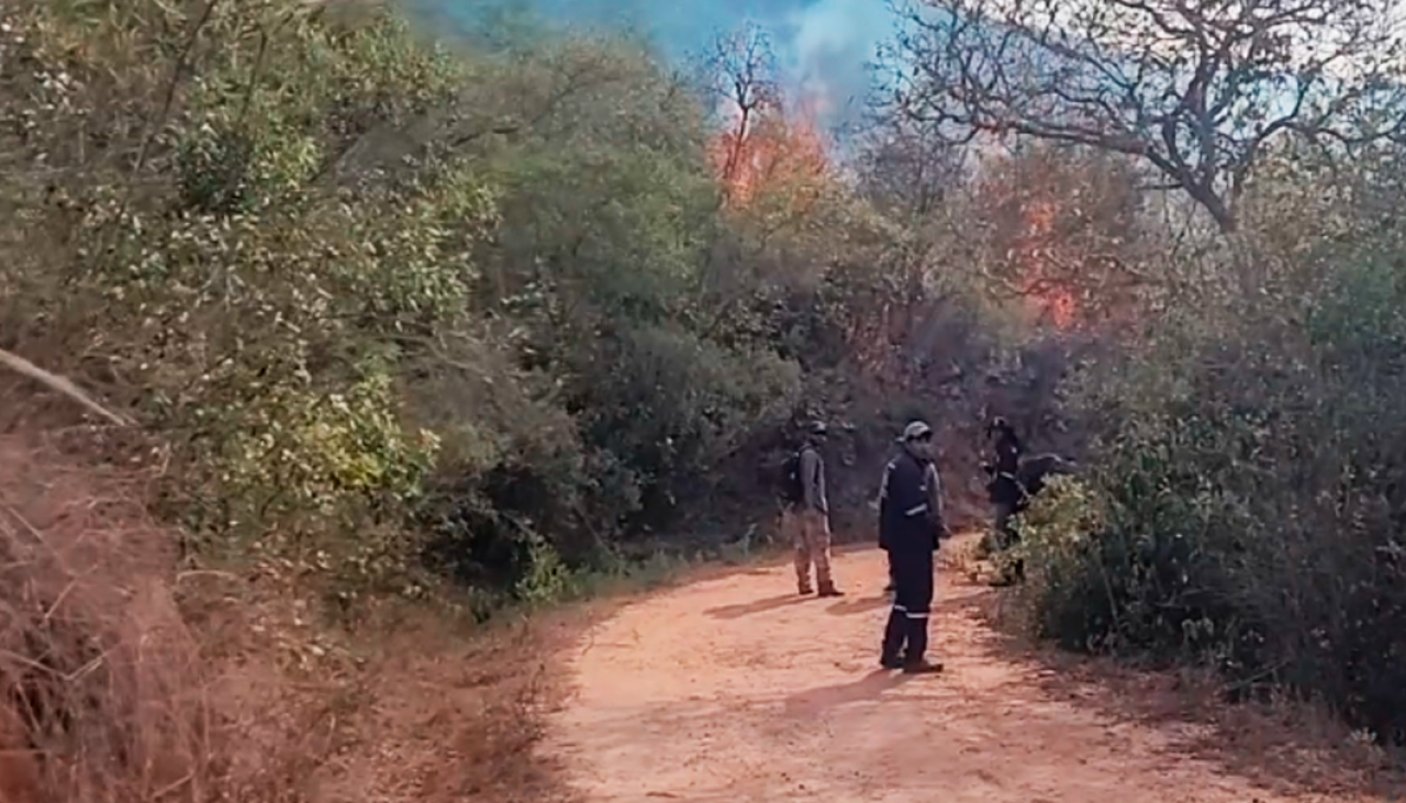 Incendios se reactivan y afectan las vertientes de agua en la zona de Mairana 