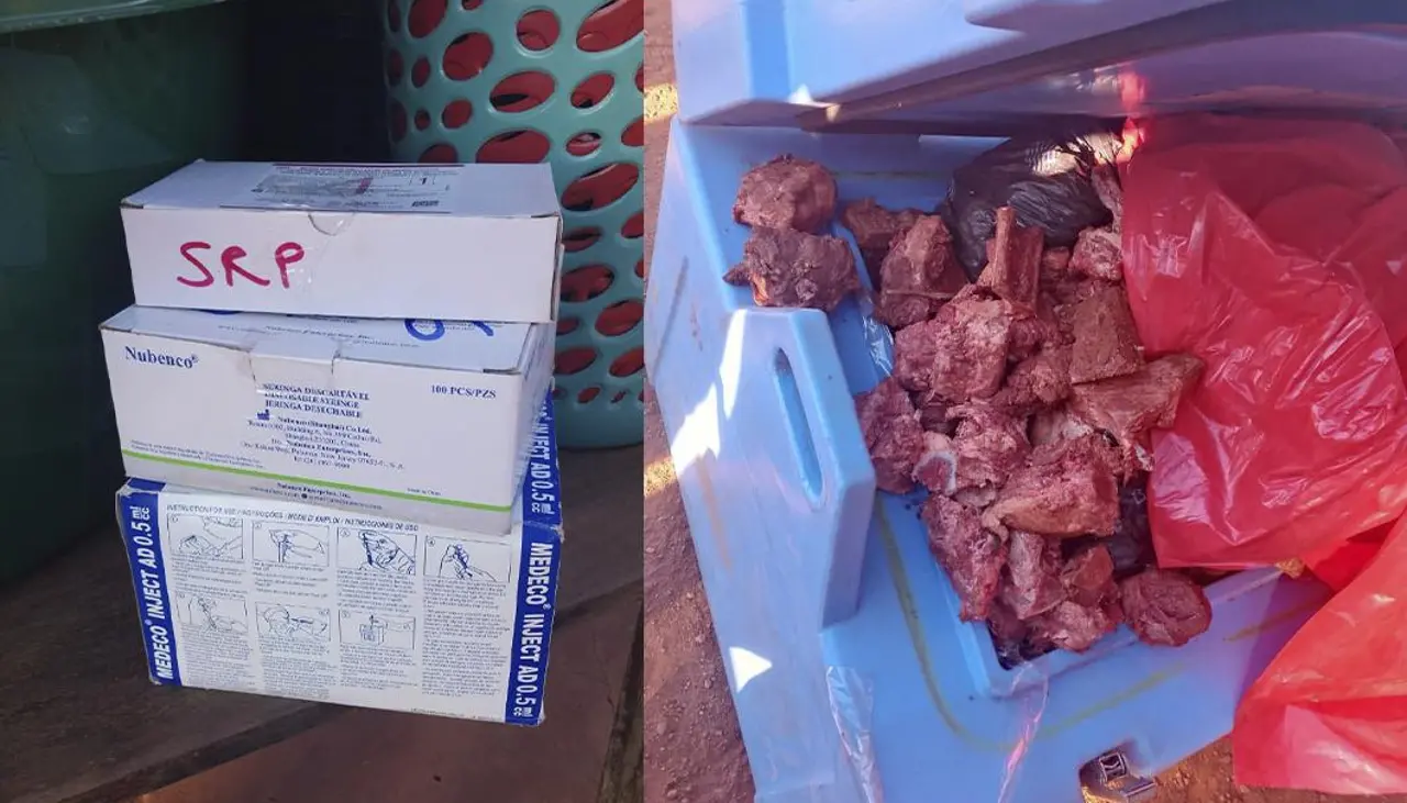 Dos aprehendidos por transportar carne en recipiente para vacunas: “Rompieron la cadena de frío”, dice ministra