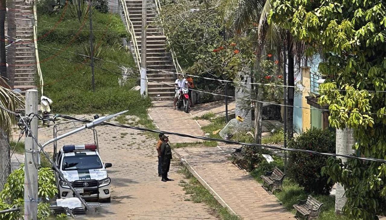 Hombre muere al caer de lo alto de una palmera a la que subió para sacar cocos