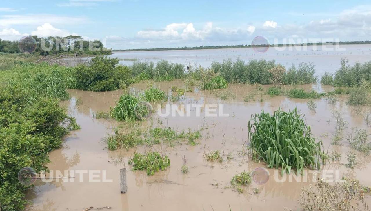 Santa Cruz: Río Grande rompe un dique e inunda sembradíos de Montero Hoyos