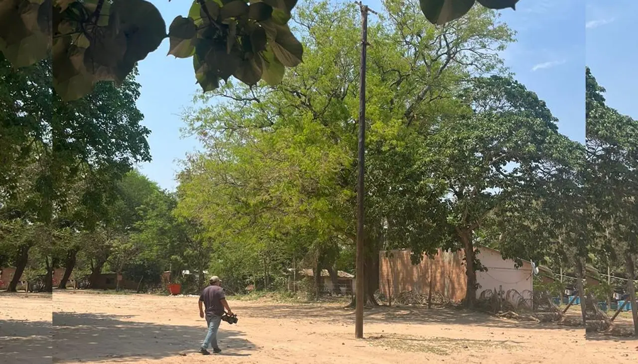 “Fue un accidente fortuito”, dicen cabañeros tras caída de un hombre del ‘palo encebao’