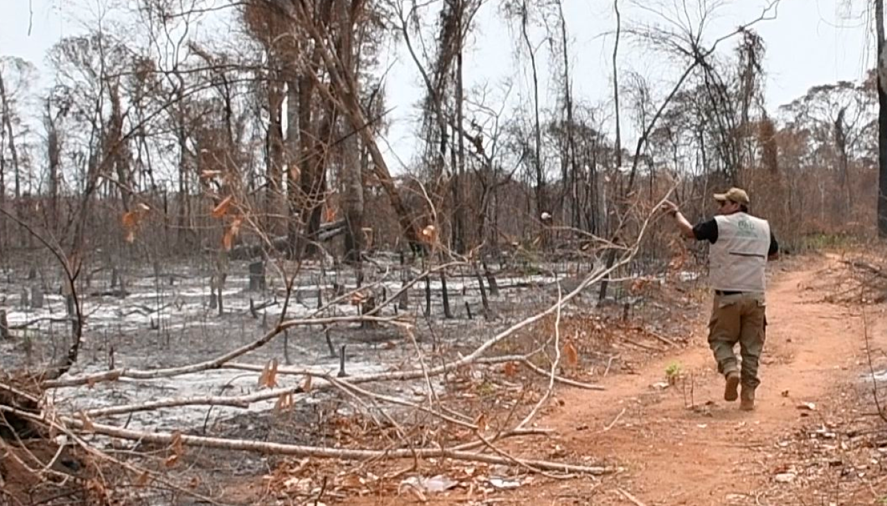 Envían a la cárcel a tres personas acusadas de provocar incendios en Bajo Paraguá 