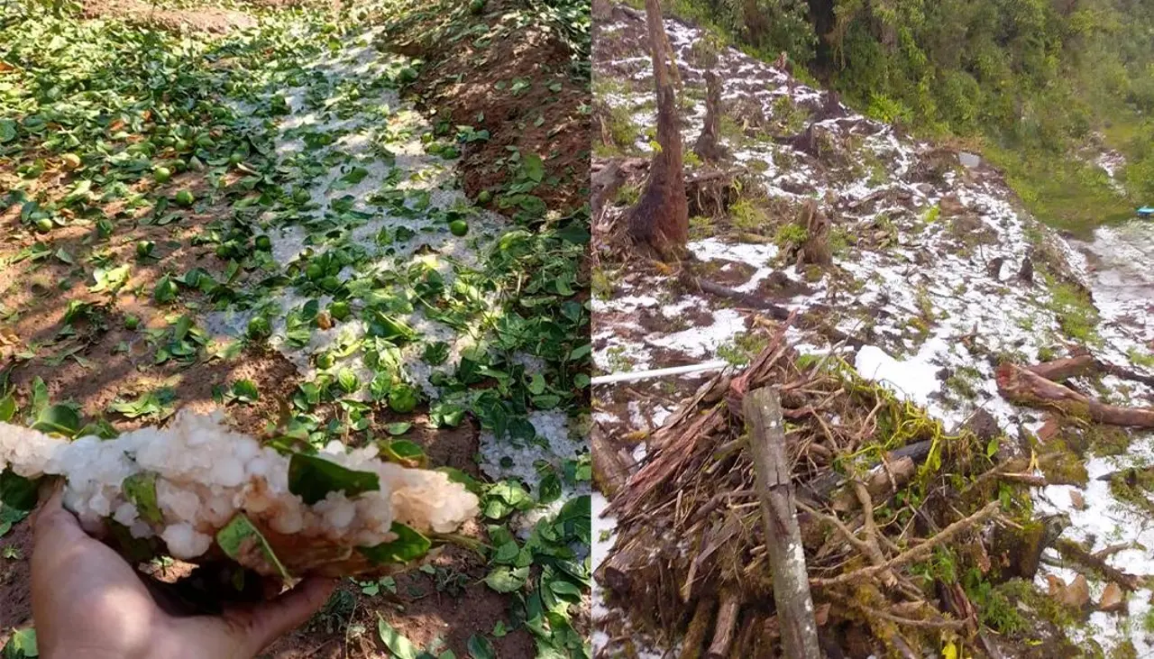 Cochabamba: Intensa granizada causa estragos en los municipios de Colomi y Vila Vila