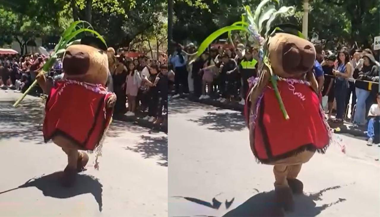 Video: Capibara chapaca se roba el show durante el lanzamiento del Carnaval en Tarija