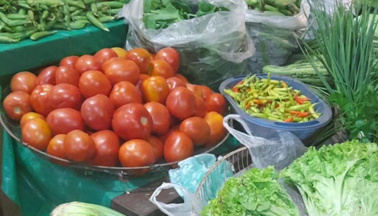 Falta de combustible: Verduras llegan tarde y en mal estado a mercados de Santa Cruz 