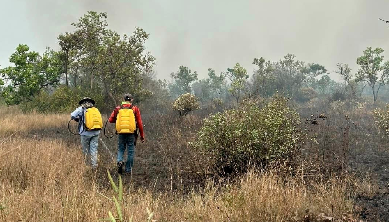 Los incendios forestales en Santa Cruz se redujeron a tres, confirma el COED 