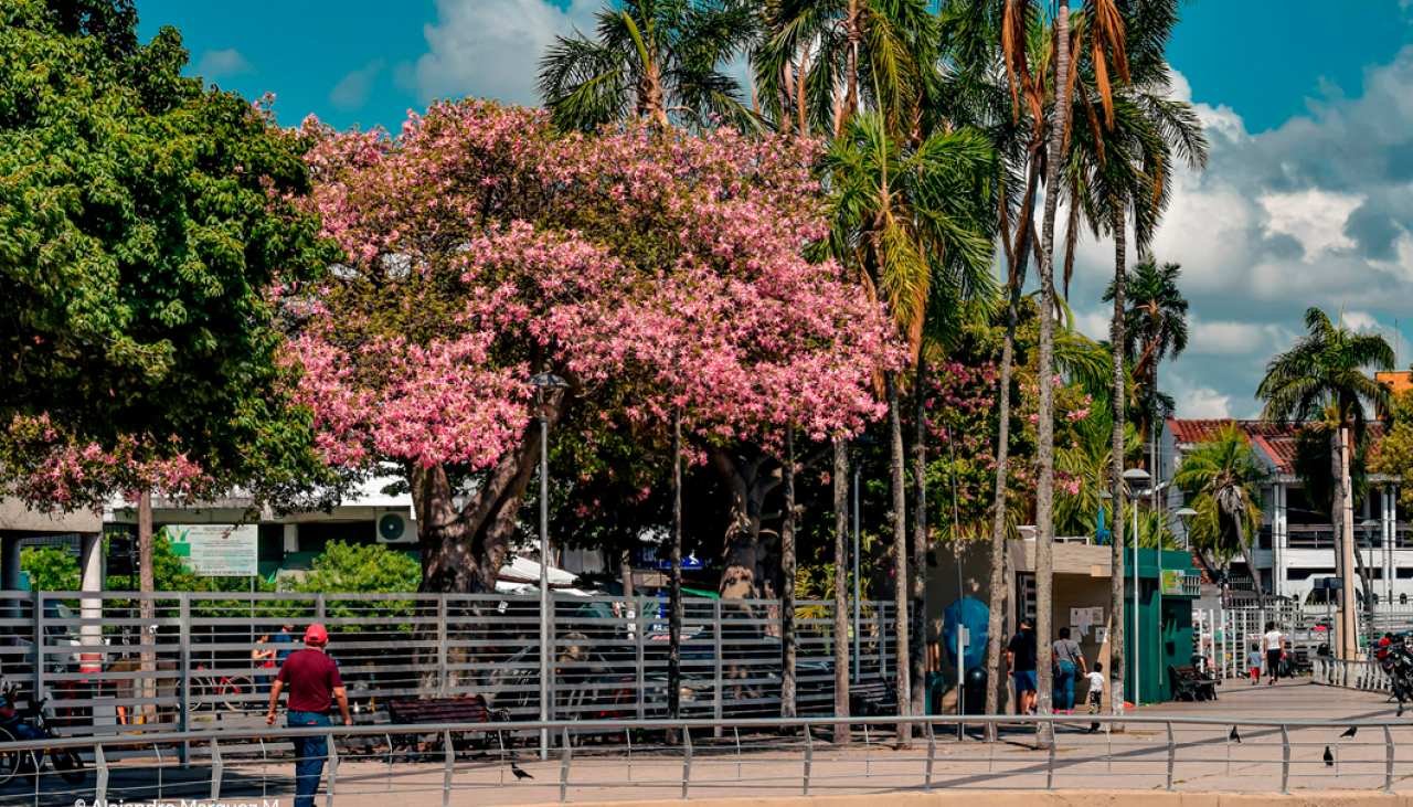 ¿Habrá lluvias o altas temperaturas? Conozca cómo estará el clima en el país en el inicio de la primavera