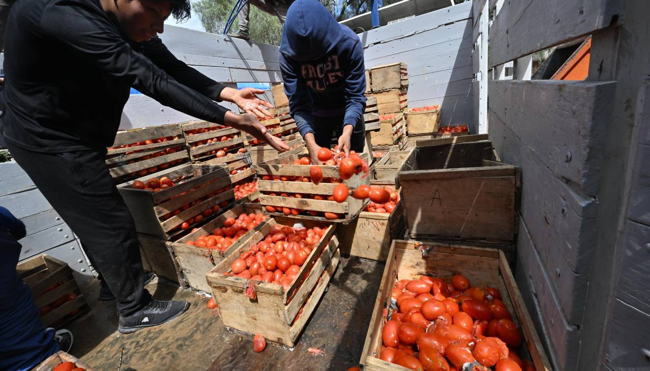 “Las cosechas se están pudriendo”, cívicos lamentan pérdidas en el sector agrícola de Cochabamba