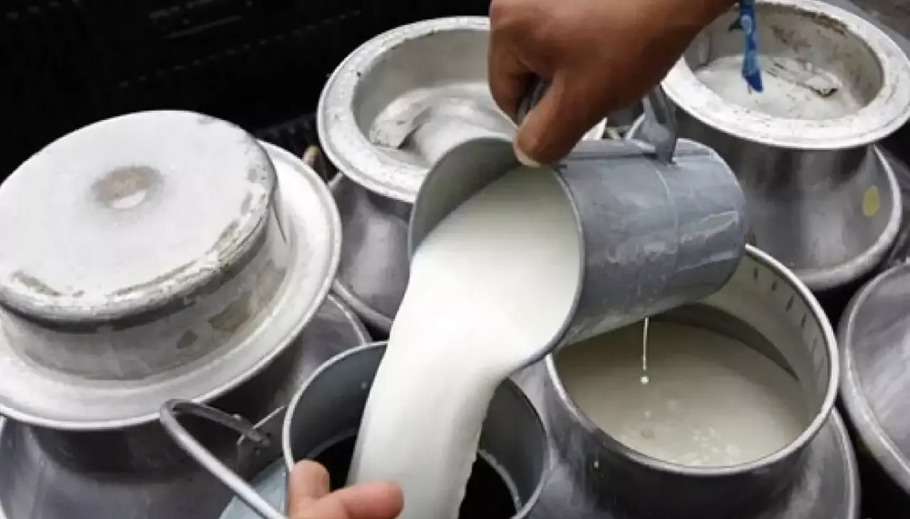 Lecheros exigen levantar franja de precios que rige desde el 2012 y señalan que la producción cayó casi el 30% en cinco años