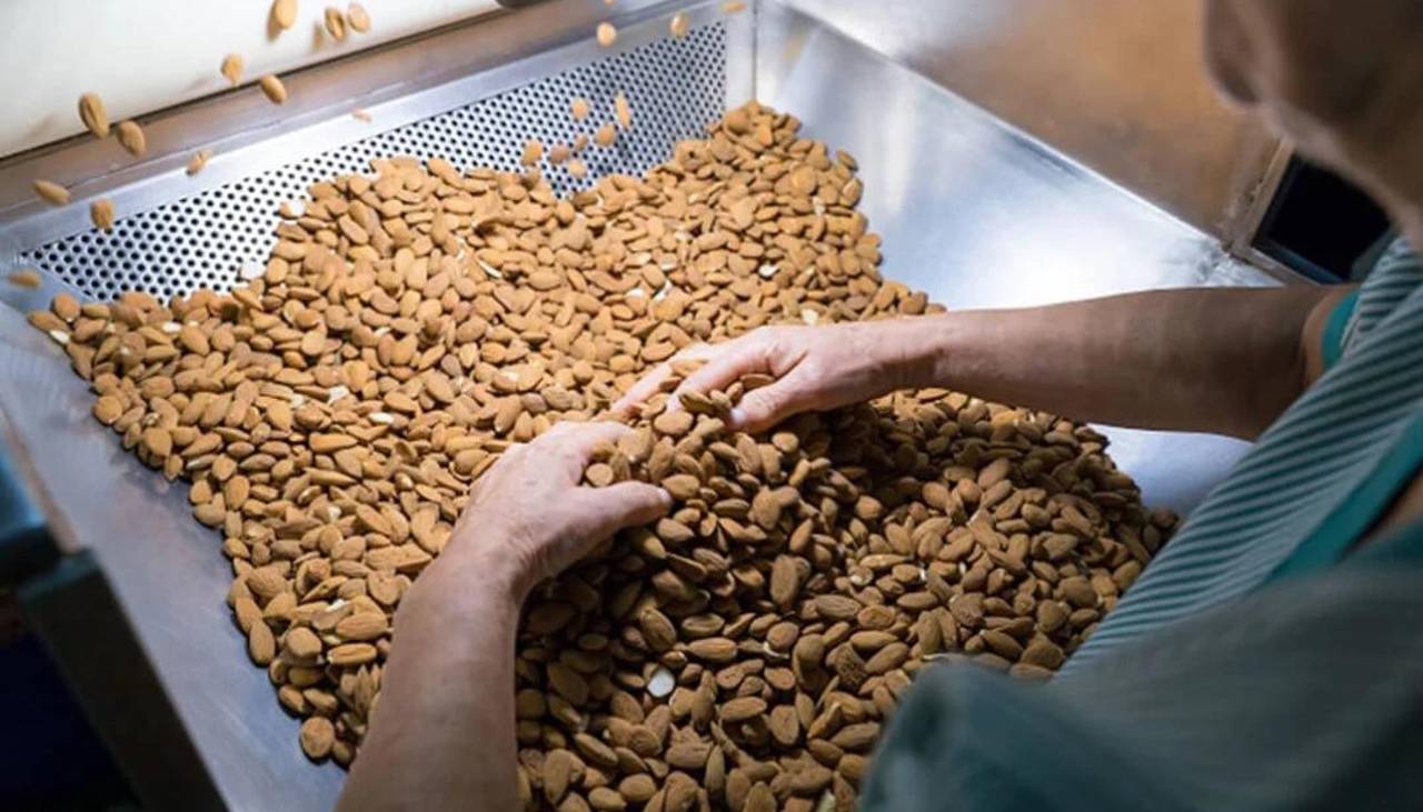 Productores de goma y almendra cuestionan el decreto 5613 y señalan que sus tierras ya fueron saneadas 