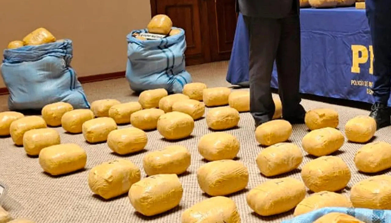 Aprehenden en el norte de Chile a cuatro bolivianos que tenían en su poder 390 kilos de droga