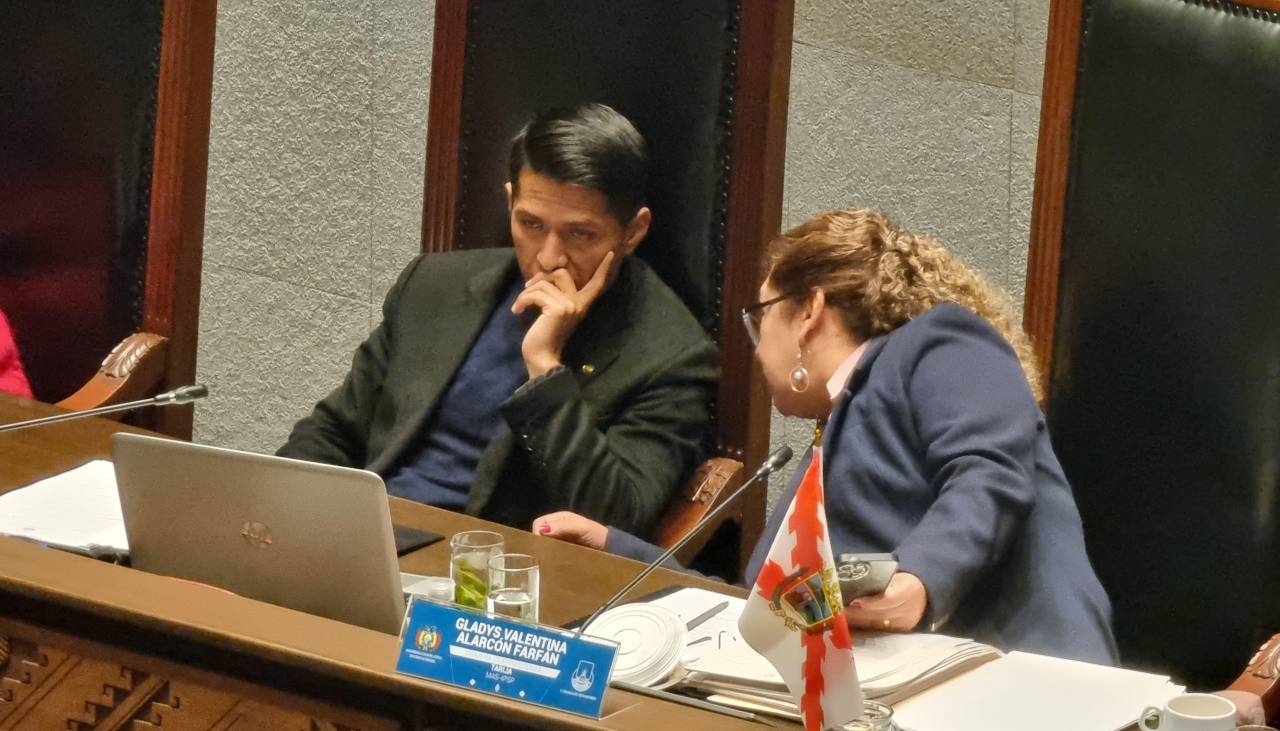 Andrónico reaparece en el Senado tras su anunciada postulación a los comicios
