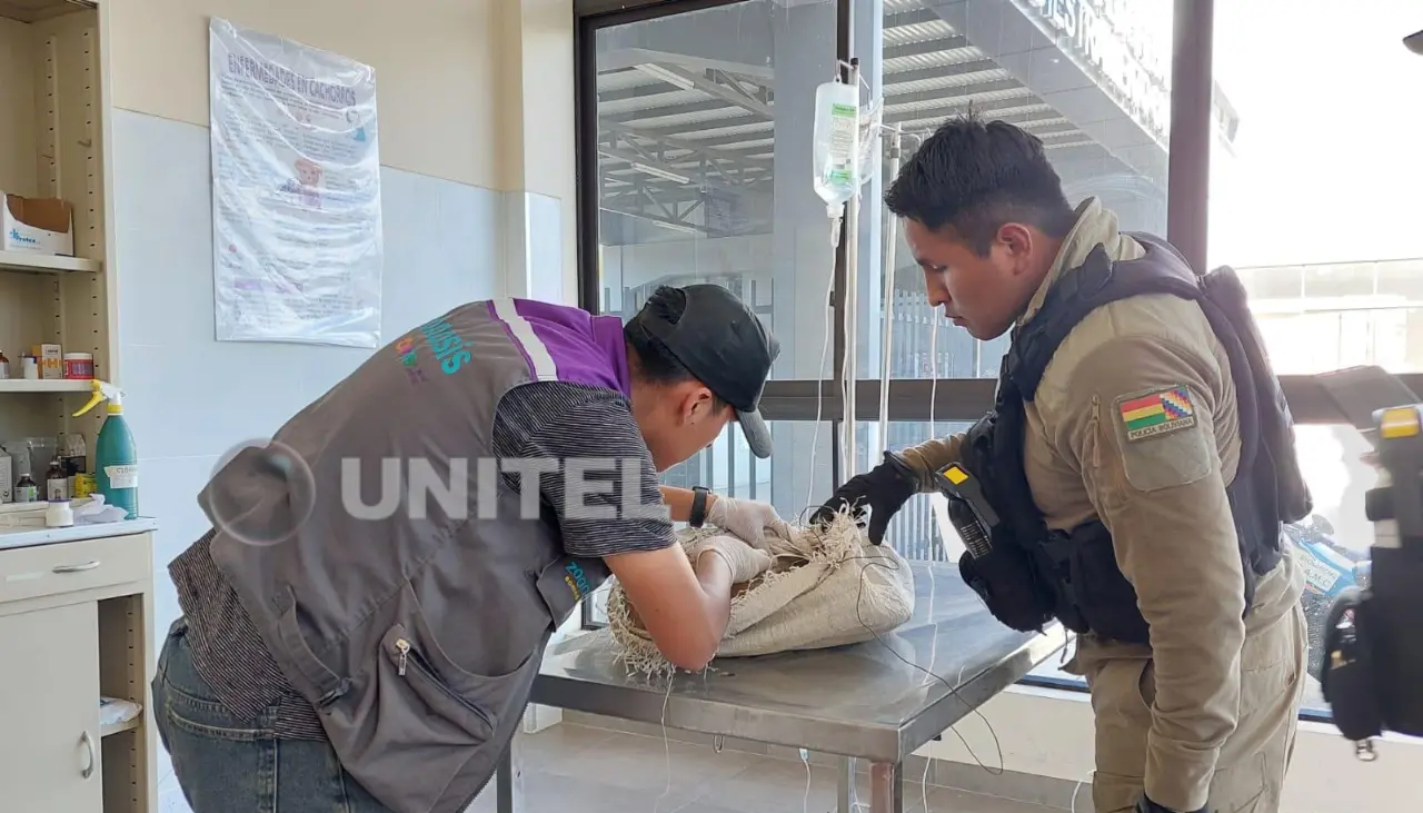 Hallan a un animal colgado en una casa; la Policía investiga biocidio