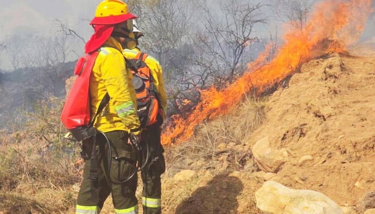 ¿Qué tan preparada está Bolivia para enfrentar los incendios forestales?