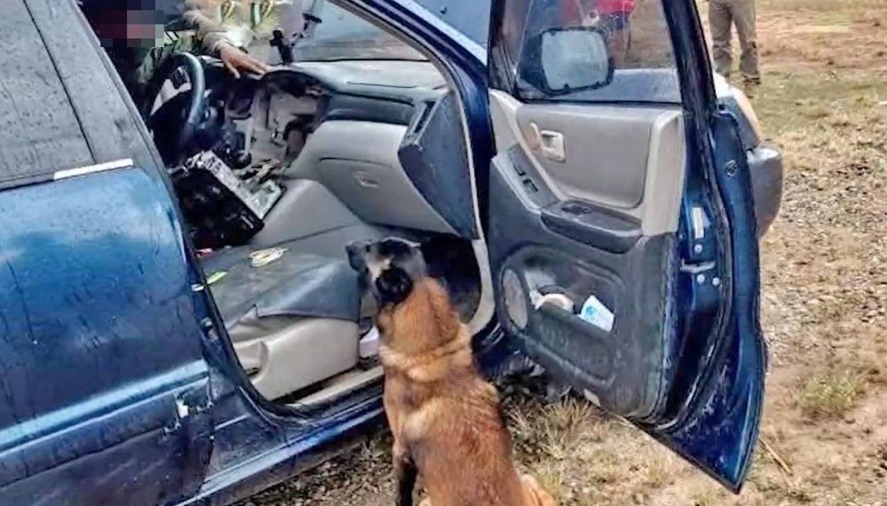 Dos aprehendidos luego que un perro detectara paquetes de droga en el tablero de su vehículo