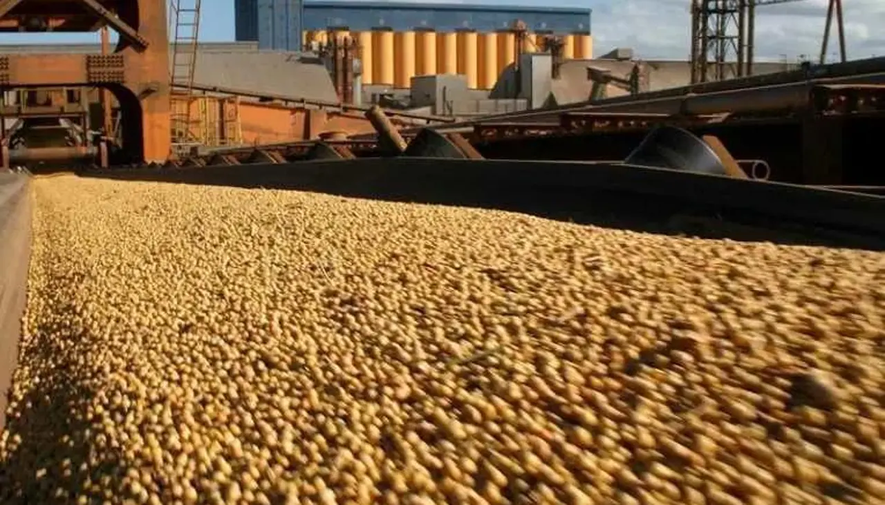 Anapo saluda anuncio de Paz y espera la pronta liberación plena de las exportaciones para potenciar la producción