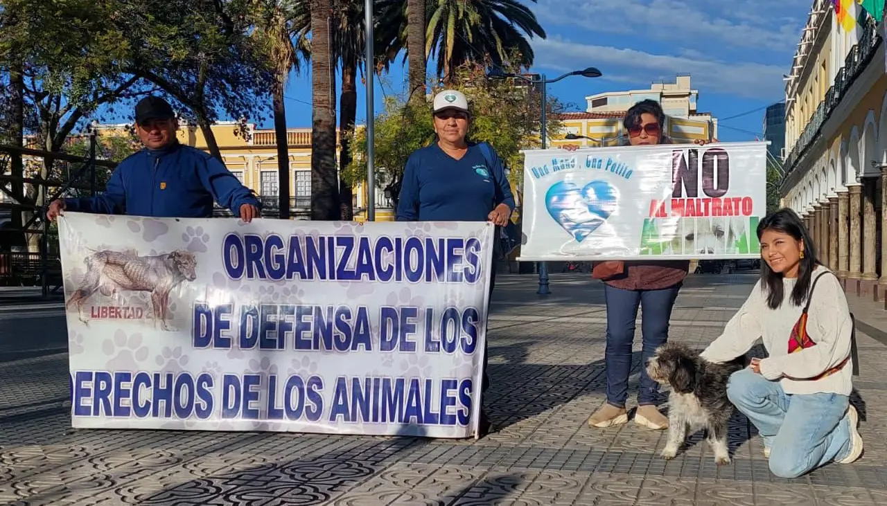 Organizaciones e instituciones en defensa de los animales anuncian marcha contra el maltrato y venta ilegal de mascotas