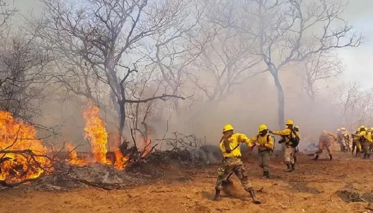 Gobernación cruceña alista declaratoria de emergencia por incendios 