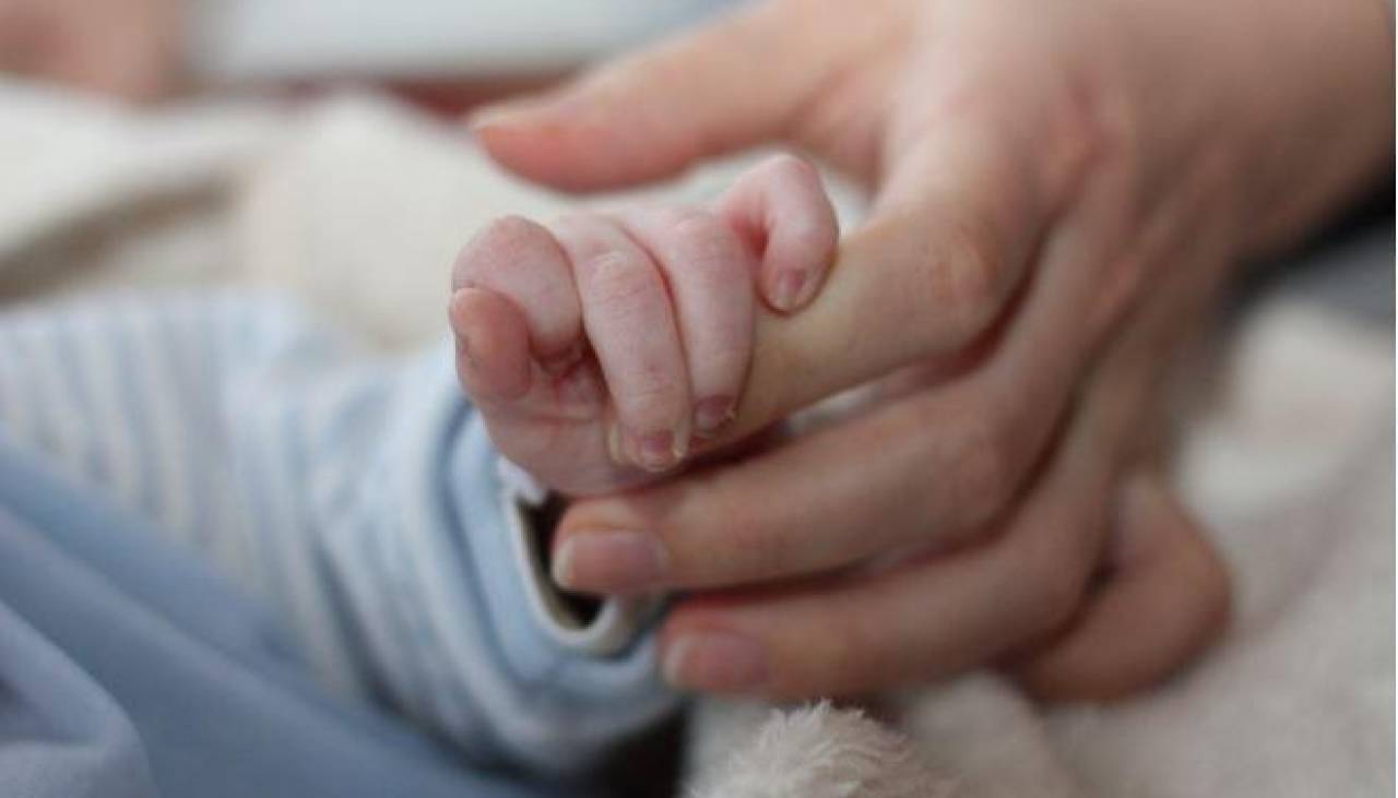 Niños que jugaban en un barrio hallan a una bebé abandonada debajo de un árbol