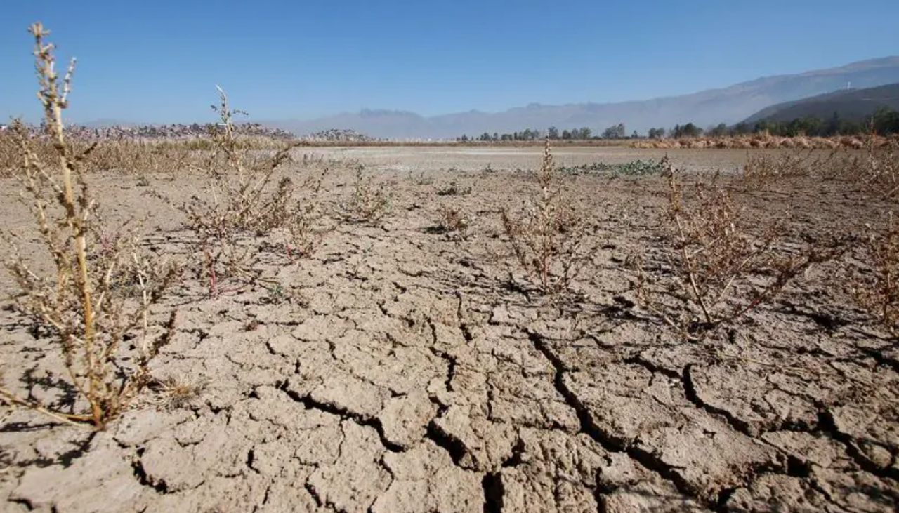 Sequías, lluvias e inundaciones, las consecuencias del fenómeno de El Niño en Bolivia