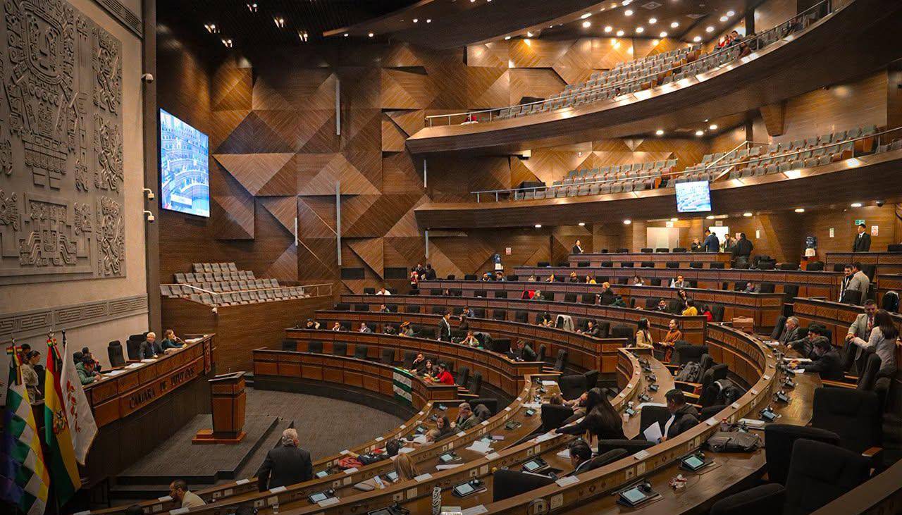 “No es emitió ninguna invitación oficial”, señalan Diputados por activistas argentinos que pretendían ingresar a Bolivia 