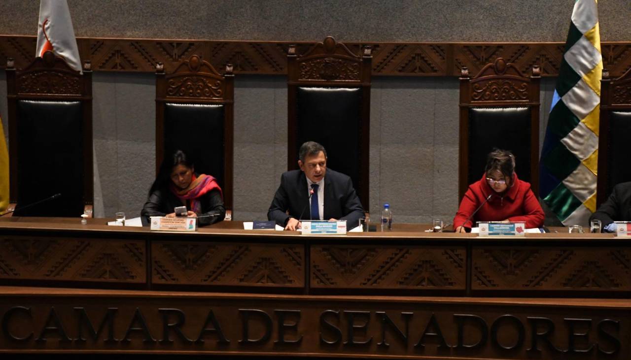 “No estamos satisfechos con el informe oral”, dice senadora de Libre tras respuestas de Medinaceli sobre gasolina