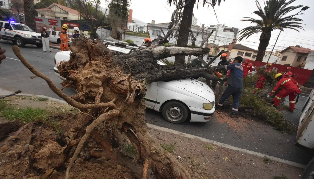 Fuertes ráfagas de hasta 55 km/h en Cochabamba tumban árboles, dañan viviendas y dejan al menos un herido