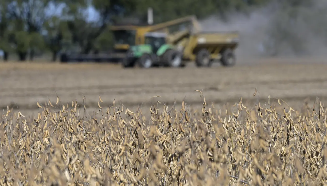 “La situación se ha puesto peor”: Falta de diésel genera una cadena de perjuicios al sector soyero