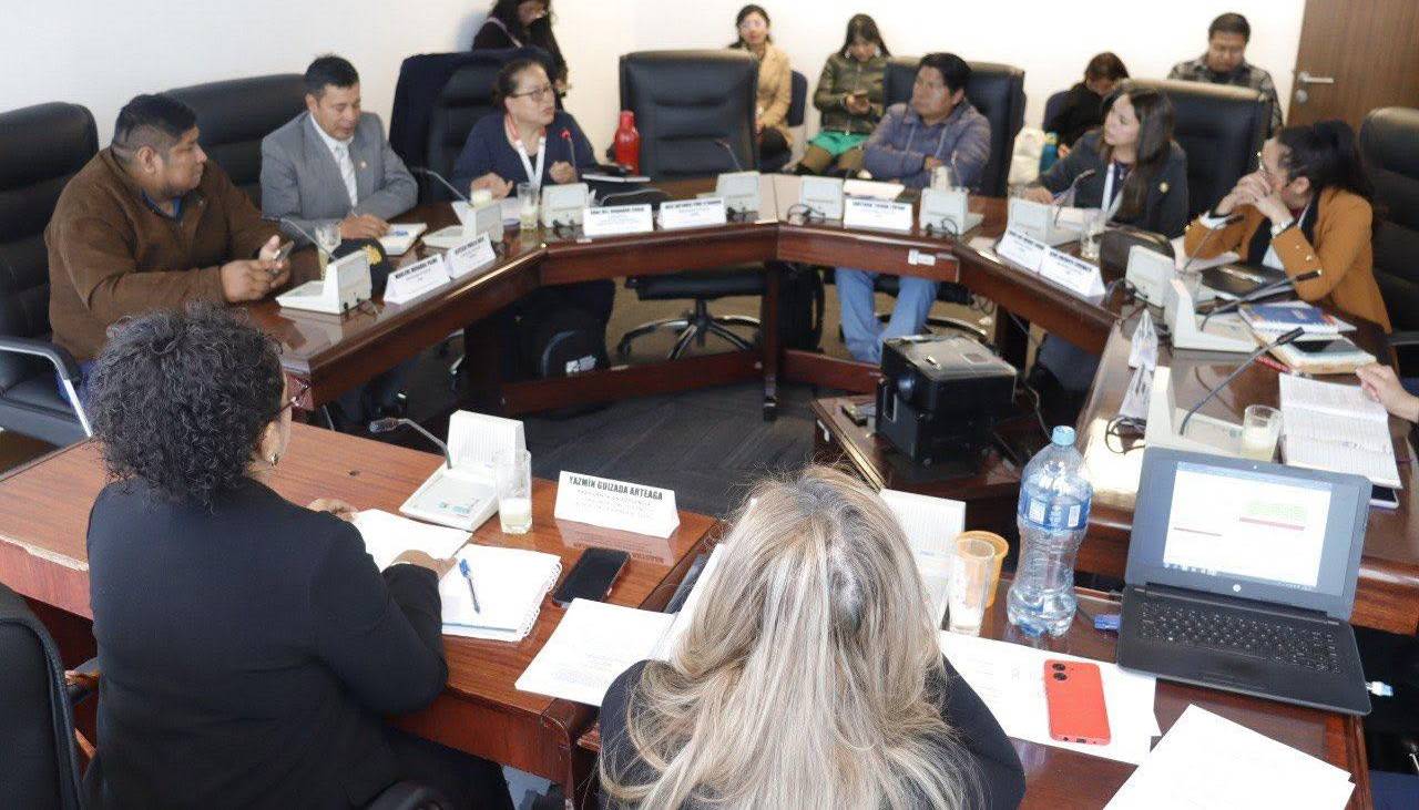 Comisión de Diputados avanza en el análisis de la ley para completar siete magistrados; se proyectan comicios para 2027