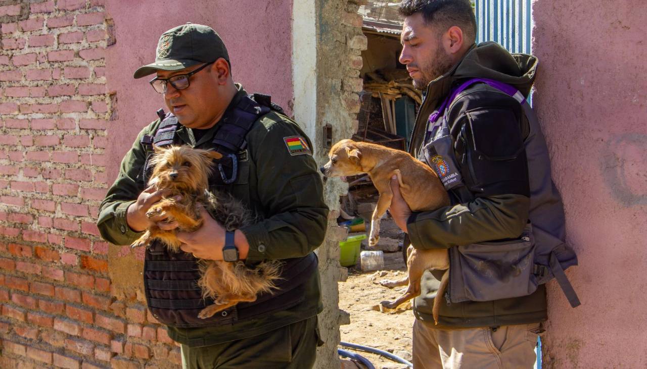Con parásitos y desnutrición crónica, así se encontraban los 40 perros rescatados de un criadero clandestino