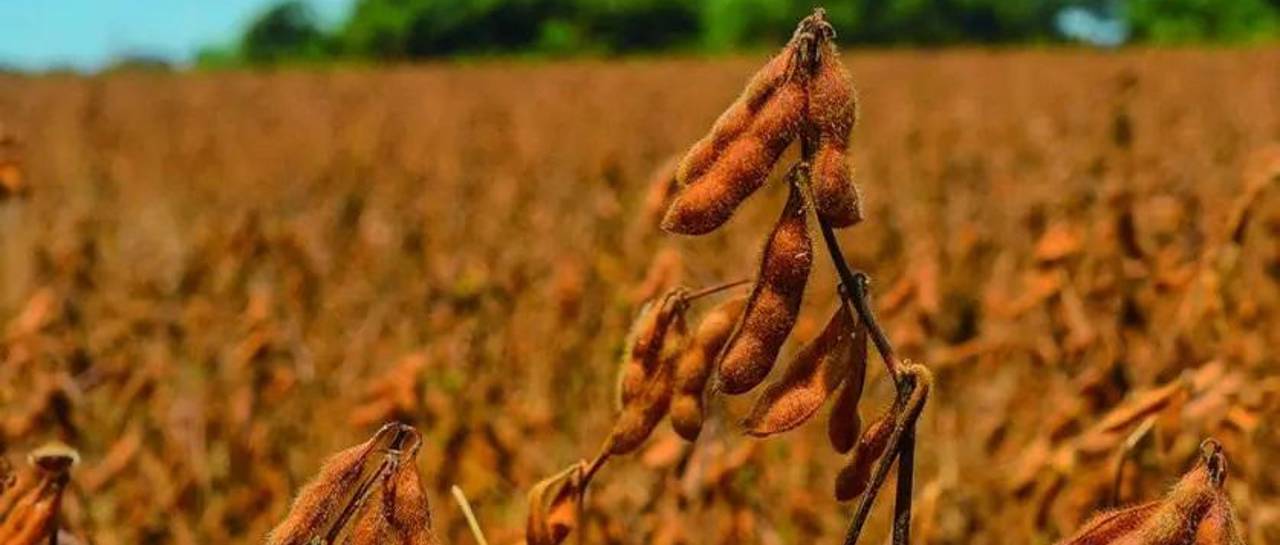 $output.data $output.data