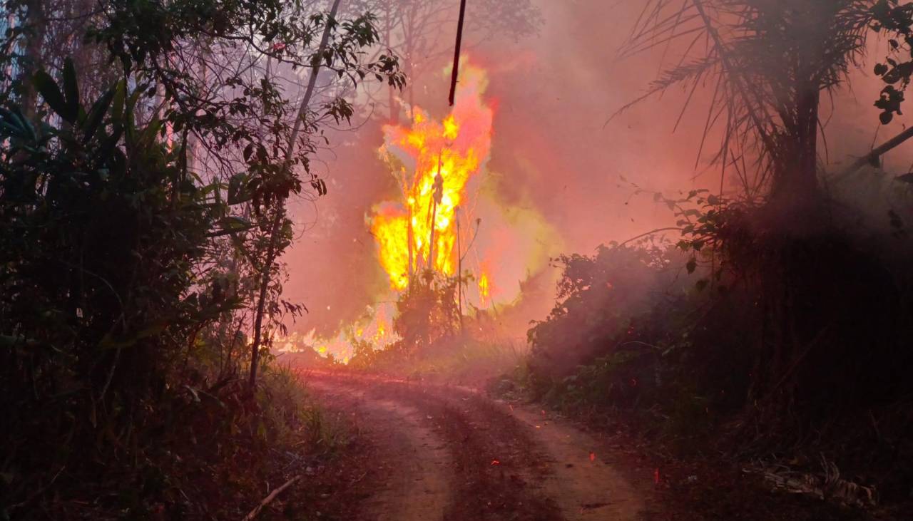 Incendios forestales: Arce anuncia la llegada de expertos y bomberos de Brasil, Chile y Francia