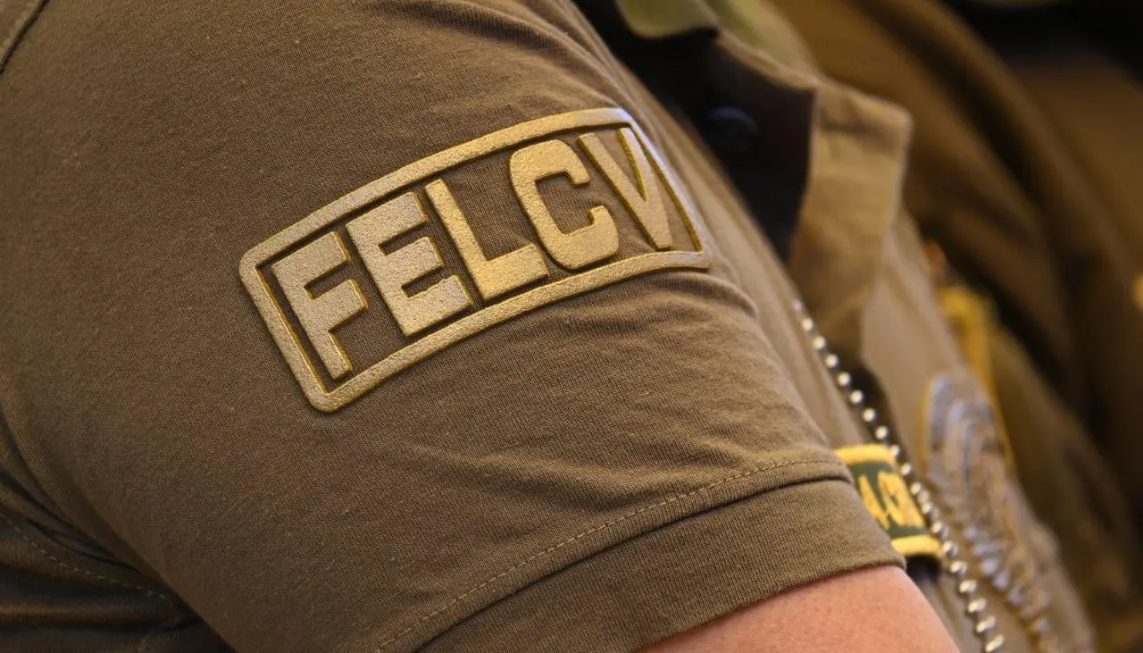 Descubren que adolescente era víctima de graves agresiones por la consulta que hizo a ChatGPT