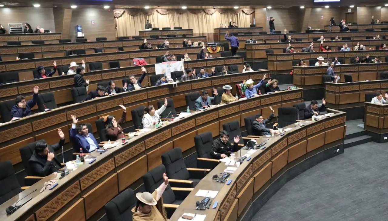 Diputados aprueban crédito por $us 50 millones para espacios deportivos en escuelas y el documento pasa al Senado 