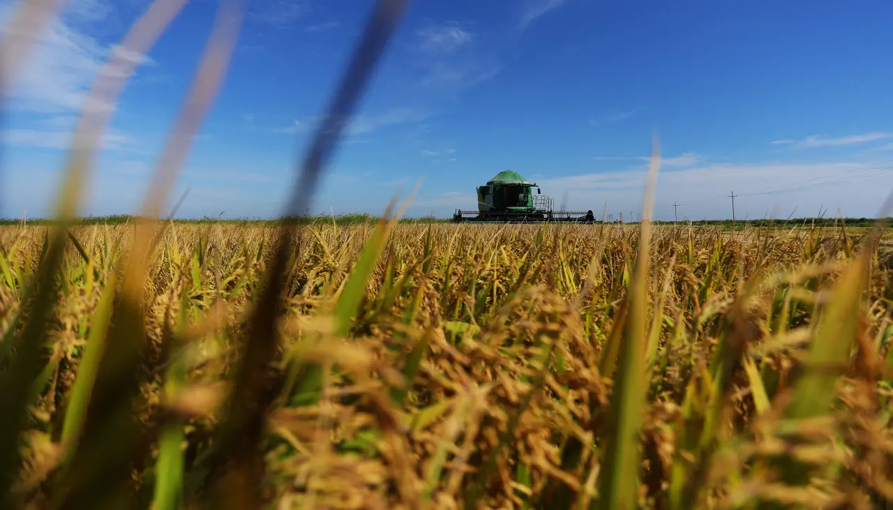 Agropecuarios piden a la ALP y candidatos frenar el “sabotaje económico” del Gobierno