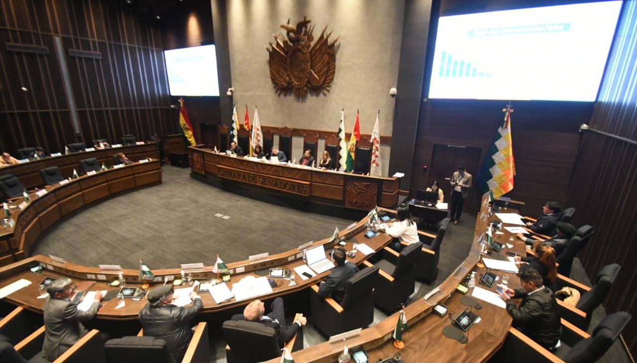 Cámara de Senadores aprueba en grande el crédito de $us 1.900 millones del FMI