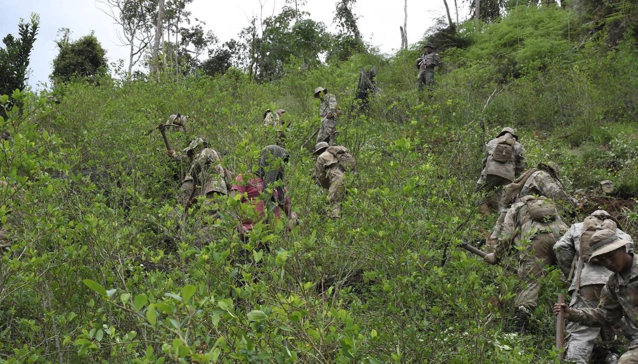 Dirigentes del trópico de Cochabamba aseguran estar de acuerdo con el control de coca excedentaria