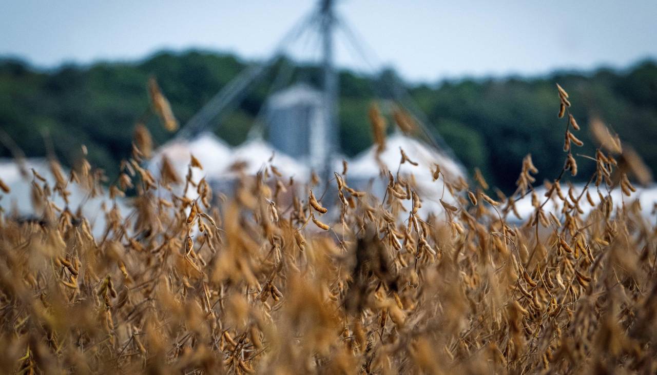 Tras anuncio del Gobierno, Anapo ve señales de certidumbre para la exportación y estímulos para el agro