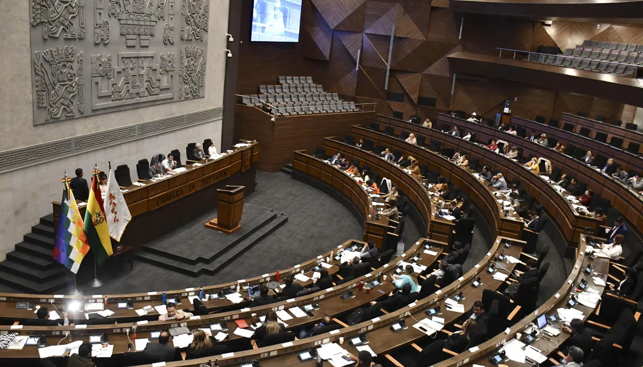 Diputados: este jueves designarán vocales electorales de tres departamentos; Chuquisaca no completó sus listas