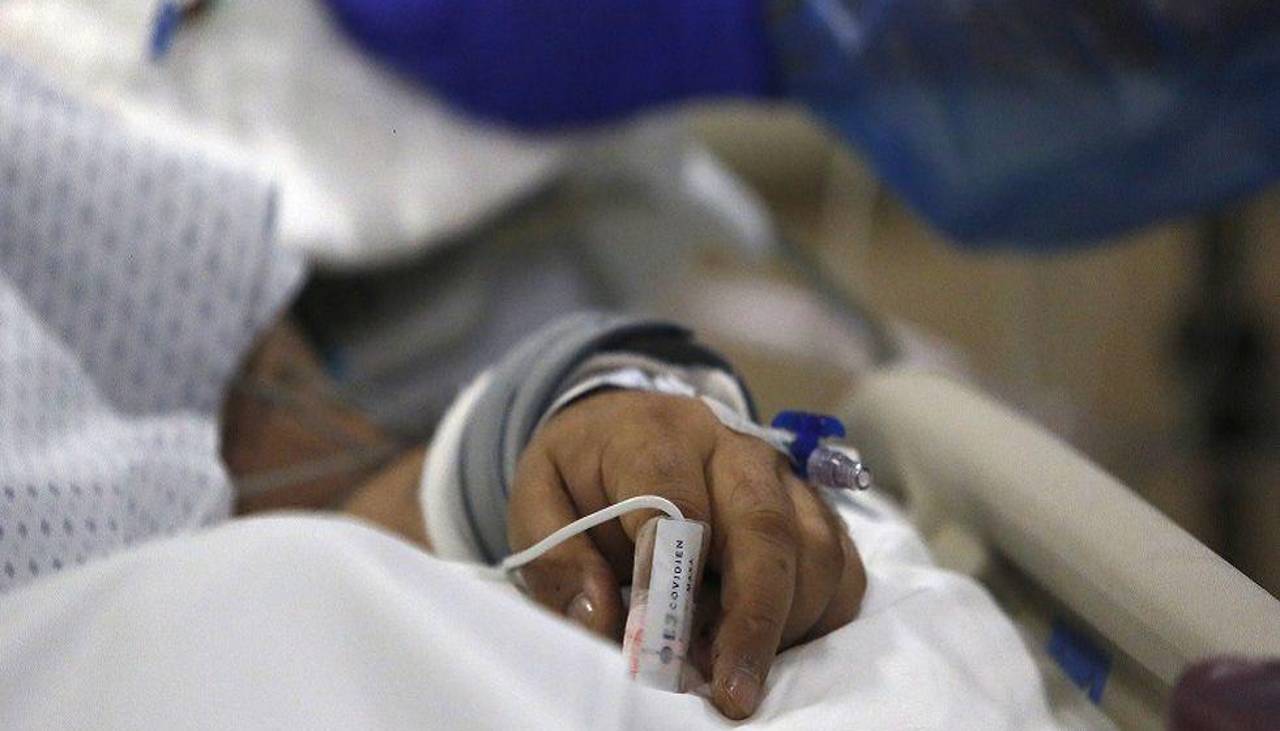 Rabia humana: Interna de medicina fue mordida por un cachorro que adoptó y que murió 10 días después